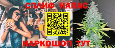 гидра Усть-Джегута