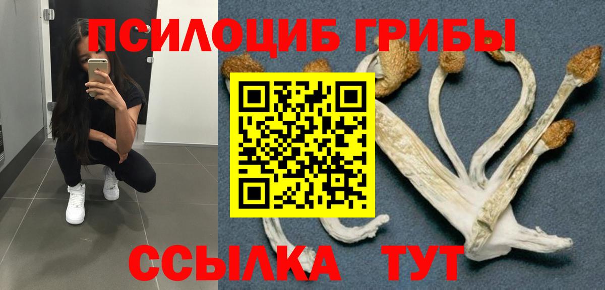 Псилоцибиновые грибы GOLDEN TEACHER Бахчисарай