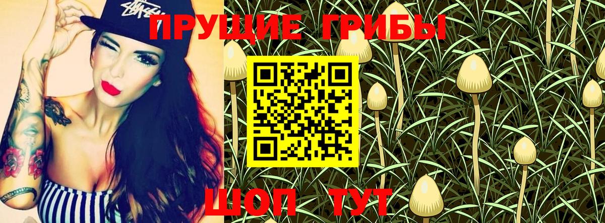 Галлюциногенные грибы Magic Shrooms  Вход с VPN  Бахчисарай  Псилоцибиновые грибы мухоморы 